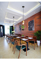 Zox - Modern Nordic Iron Pendant Planter Lamp