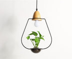 Zox - Modern Nordic Iron Pendant Planter Lamp