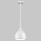 Modern Nordic Pendant Hanging Lights